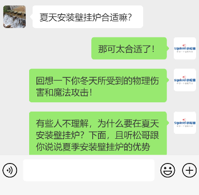 燃气壁挂炉