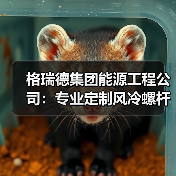 格瑞德集团能源工程公司：专业定制风冷螺杆机组出口中东国家援建项目（图4）