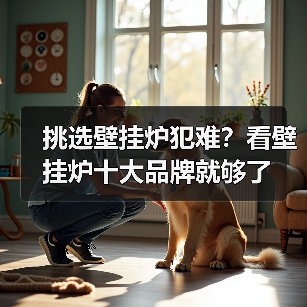 挑选壁挂炉犯难?看壁挂炉十大品牌就够了(图3) 挑选壁挂炉犯难?看壁挂炉十大品牌就够了(图3)