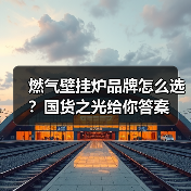 燃气壁挂炉品牌怎么选?国货之光给你答案(图1) 燃气壁挂炉品牌怎么选?国货之光给你答案(图1)