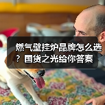 燃气壁挂炉品牌怎么选?国货之光给你答案(图2) 燃气壁挂炉品牌怎么选?国货之光给你答案(图2)