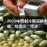 2020中国制冷展震撼来袭，给重庆“降温”（图1）