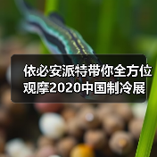 依必安派特带你全方位观摩2020中国制冷展（图1）