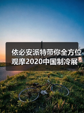 依必安派特带你全方位观摩2020中国制冷展（图2）