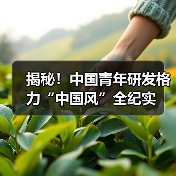 揭秘！中国青年研发格力“中国风”全纪实（图3）