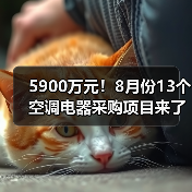 5900万元！8月份13个空调电器采购项目来了（图4）