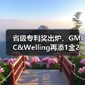 省级专利奖出炉，GMCC&Welling再添1金2优（图1）