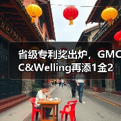 省级专利奖出炉，GMCC&Welling再添1金2优（图4）