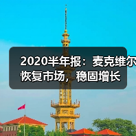 2020半年报：麦克维尔恢复市场，稳固增长（图3）