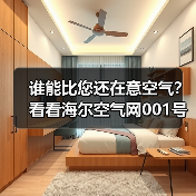 谁能比您还在意空气？看看海尔空气网001号店，做得很周到！（图1）