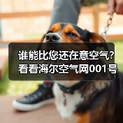 谁能比您还在意空气？看看海尔空气网001号店，做得很周到！（图3）