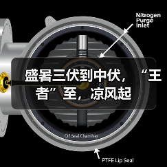 盛暑三伏到中伏,“王者”至,凉风起(图3) 盛暑三伏到中伏,“王者”至,凉风起(图3)