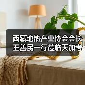 西藏地热产业协会会长王善民一行莅临天加考察交流（图3）
