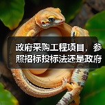 政府采购工程项目，参照招标投标法还是政府采购法？财政部复函说明（图2）
