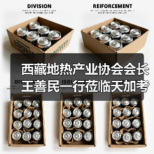 西藏地热产业协会会长王善民一行莅临天加考察交流（图2）