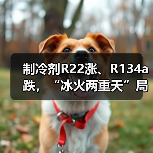 制冷剂R22涨、R134a跌,“冰火两重天”局面延续(图1) 制冷剂R22涨、R134a跌,“冰火两重天”局面延续(图1)