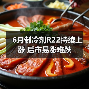 6月制冷剂R22持续上涨 后市易涨难跌（图2）