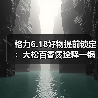 格力6.18好物提前锁定：大松百香煲诠释一锅好饭背后的中国制造（图2）