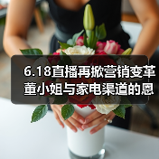 6.18直播再掀营销变革 董小姐与家电渠道的恩仇录（图4）