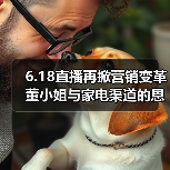 6.18直播再掀营销变革 董小姐与家电渠道的恩仇录（图3）