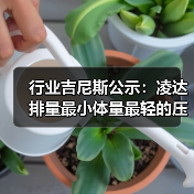 行业吉尼斯公示：凌达排量最小体量最轻的压缩机（图2）