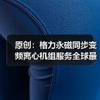 原创：格力永磁同步变频离心机组服务全球最大调味品企业（图2）