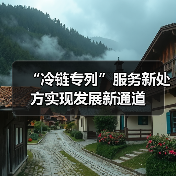 “冷链专列”服务新处方实现发展新通道(图2) “冷链专列”服务新处方实现发展新通道(图2)