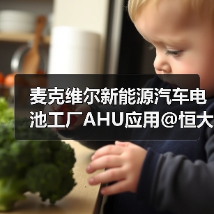 麦克维尔新能源汽车电池工厂AHU应用@恒大新能源（图4）