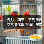 格力“猎手”系列电梯空气净化器下线！坚决守护人民“呼吸”健康（图4）