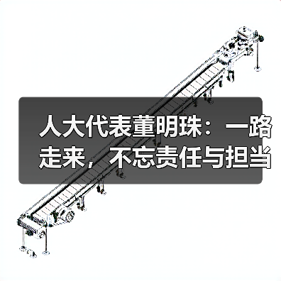 人大代表董明珠：一路走来，不忘责任与担当（图3）