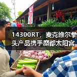 14300RT，麦克维尔拳头产品携手魔都太阳宫，打造城市伊甸园（图4）