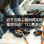 近千万级工程如何实现高效节能？TCL直流变频多联机组样板工程解析（图2）