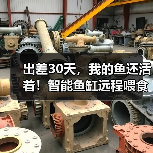 出差30天,我的鱼还活着!智能鱼缸远程喂食避坑指南(图3) 出差30天,我的鱼还活着!智能鱼缸远程喂食避坑指南(图3)