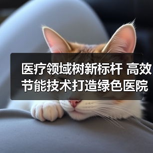 医疗领域树新标杆 高效节能技术打造绿色医院新典范(图1) 医疗领域树新标杆 高效节能技术打造绿色医院新典范(图1)
