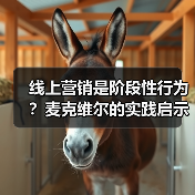 线上营销是阶段性行为？麦克维尔的实践启示（图1）