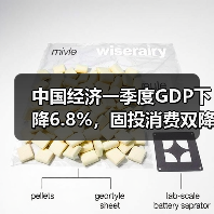 中国经济一季度GDP下降6.8%，固投消费双降，如何反弹？（图1）