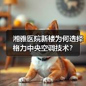 湘雅医院新楼为何选择格力中央空调技术？（图1）
