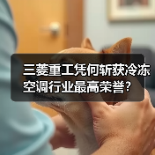三菱重工凭何斩获冷冻空调行业最高荣誉?(图2) 三菱重工凭何斩获冷冻空调行业最高荣誉?(图2)