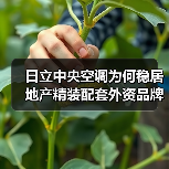 日立中央空调为何稳居地产精装配套外资品牌NO.1?(图2) 日立中央空调为何稳居地产精装配套外资品牌NO.1?(图2)