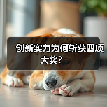 创新实力为何斩获四项大奖?(图3) 创新实力为何斩获四项大奖?(图3)