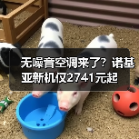 无噪音空调来了?诺基亚新机仅2741元起(图1) 无噪音空调来了?诺基亚新机仅2741元起(图1)