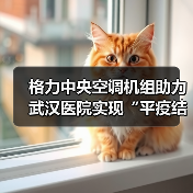 格力中央空调机组助力武汉医院实现“平疫结合”灵活转换(图1) 格力中央空调机组助力武汉医院实现“平疫结合”灵活转换(图1)