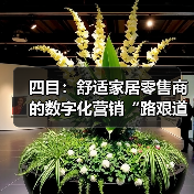 四目：舒适家居零售商的数字化营销“路艰道远”（图4）