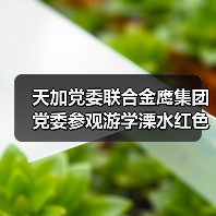 天加党委联合金鹰集团党委参观游学溧水红色李巷(图4) 天加党委联合金鹰集团党委参观游学溧水红色李巷(图4)