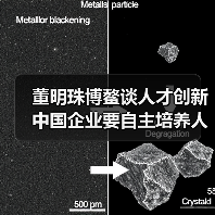董明珠博鳌谈人才创新 中国企业要自主培养人才,才能为世界服务(图2) 董明珠博鳌谈人才创新 中国企业要自主培养人才,才能为世界服务(图2)