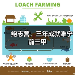 鲍志营:三年成就睢宁前三甲(图4) 鲍志营:三年成就睢宁前三甲(图4)