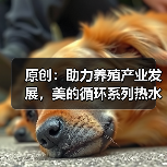 原创:助力养殖产业发展,美的循环系列热水机组中标天马鳗鱼养殖项目(图4) 原创:助力养殖产业发展,美的循环系列热水机组中标天马鳗鱼养殖项目(图4)