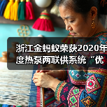 浙江金蚂蚁荣获2020年度热泵两联供系统“优质服务商”荣誉(图4) 浙江金蚂蚁荣获2020年度热泵两联供系统“优质服务商”荣誉(图4)