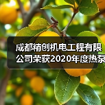 成都精创机电工程有限公司荣获2020年度热泵两联供系统“优质服务商”荣誉(图2) 成都精创机电工程有限公司荣获2020年度热泵两联供系统“优质服务商”荣誉(图2)