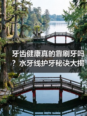 牙齿健康真的靠刷牙吗?水牙线护牙秘诀大揭秘(图3) 牙齿健康真的靠刷牙吗?水牙线护牙秘诀大揭秘(图3)